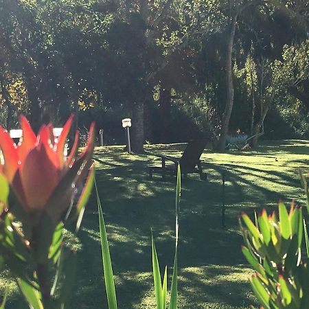 Bed and Breakfast Constantia Spring Exterior foto